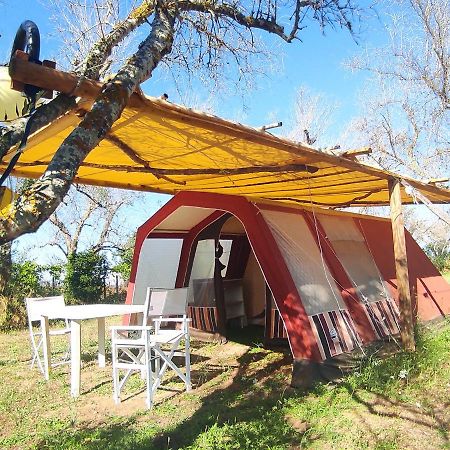 ホテル Camping Terreno-Ro-Bi-Li クトロフィアーノ エクステリア 写真