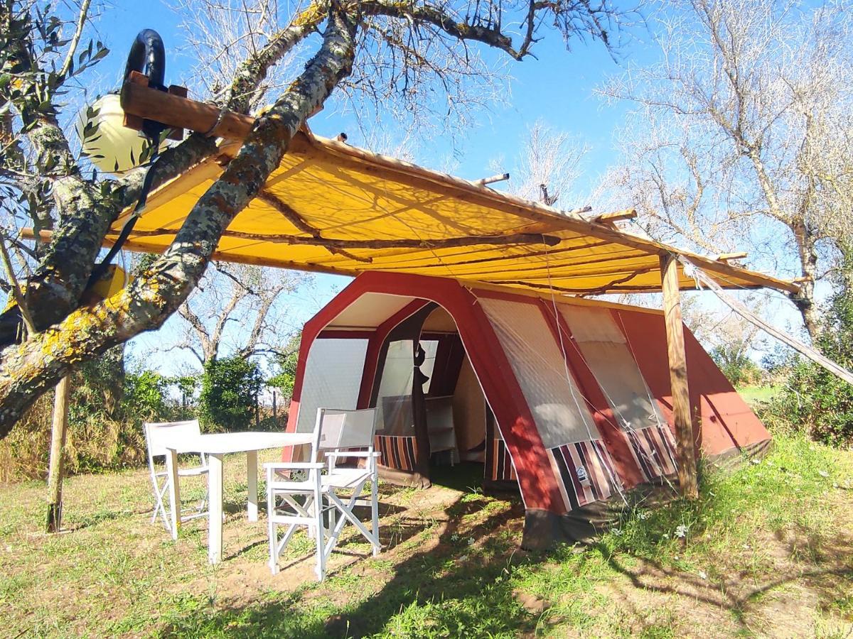 ホテル Camping Terreno-Ro-Bi-Li クトロフィアーノ エクステリア 写真