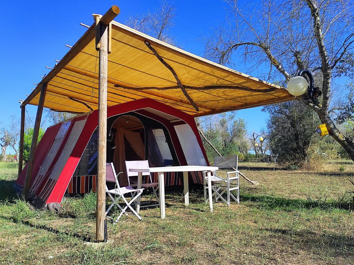 ホテル Camping Terreno-Ro-Bi-Li クトロフィアーノ エクステリア 写真