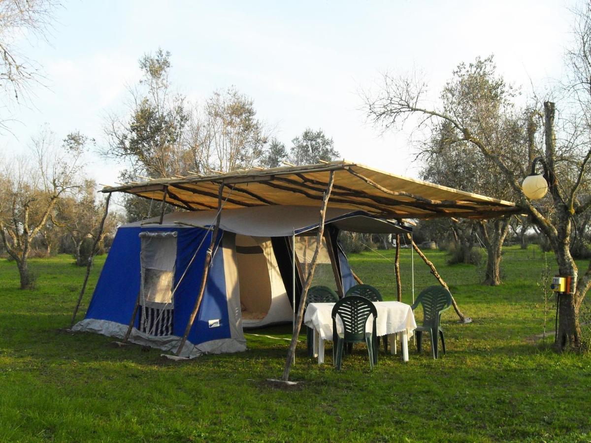 ホテル Camping Terreno-Ro-Bi-Li クトロフィアーノ エクステリア 写真