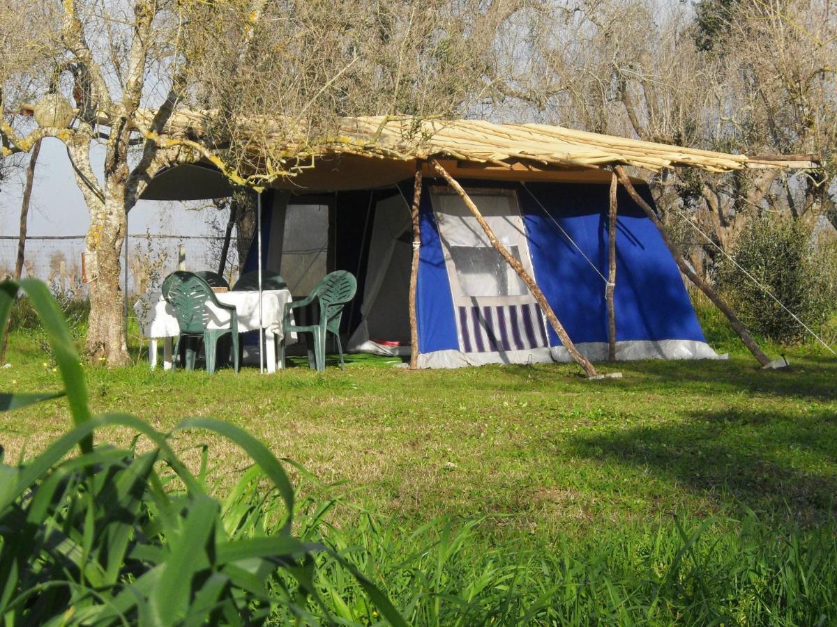 ホテル Camping Terreno-Ro-Bi-Li クトロフィアーノ エクステリア 写真